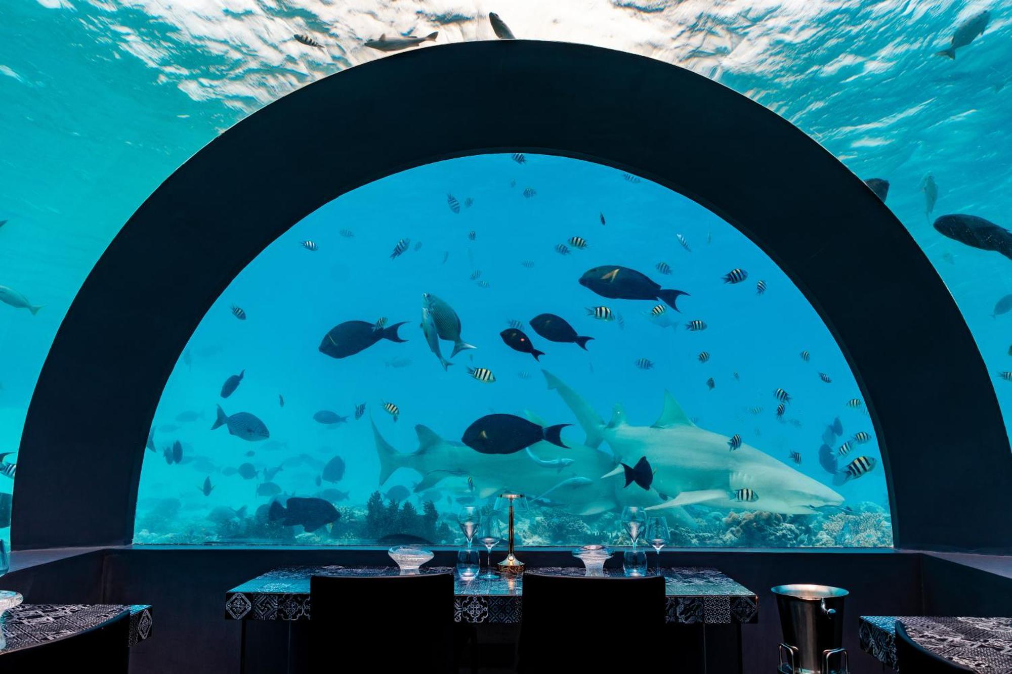 你&我马尔代夫酒店 Muravandhoo 外观 照片